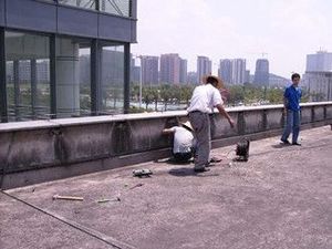 專業補水防漏